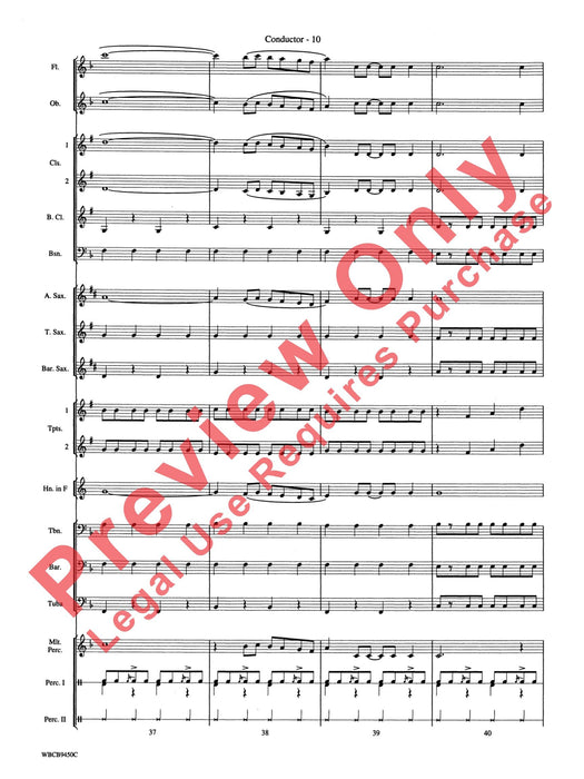 The Lion Sleeps Tonight | 小雅音樂 Hsiaoya Music