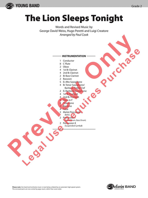 The Lion Sleeps Tonight | 小雅音樂 Hsiaoya Music