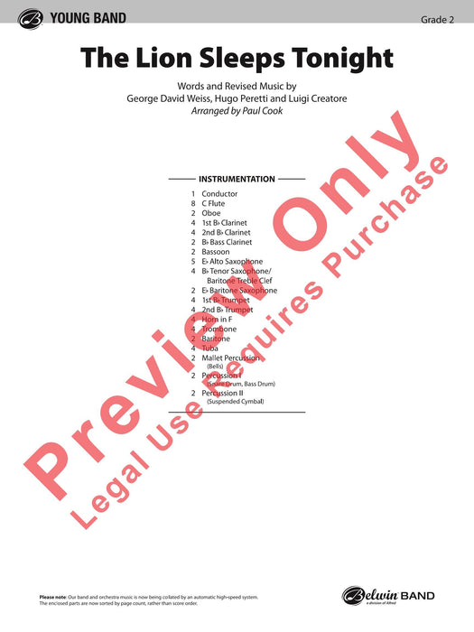 The Lion Sleeps Tonight | 小雅音樂 Hsiaoya Music