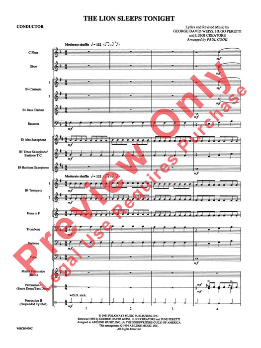 The Lion Sleeps Tonight | 小雅音樂 Hsiaoya Music