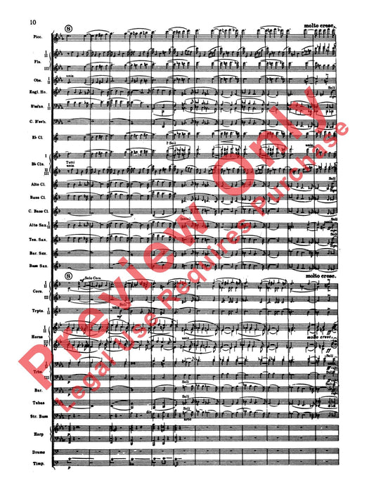 Elsa's Procession to the Cathedral | 小雅音樂 Hsiaoya Music