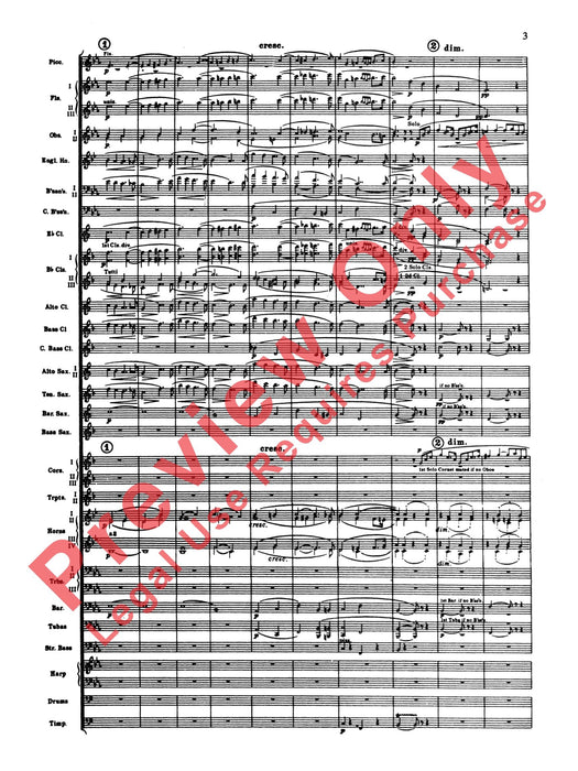 Elsa's Procession to the Cathedral | 小雅音樂 Hsiaoya Music