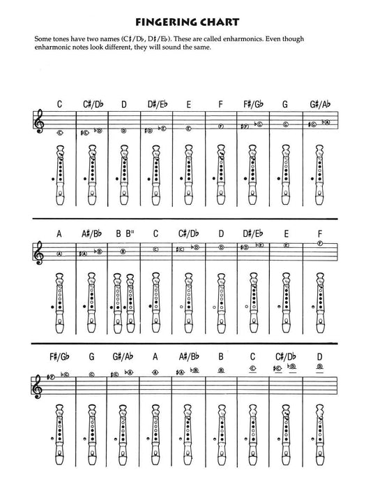 Kids' Fun Songs Learn & Play Recorder Pack | 小雅音樂 Hsiaoya Music
