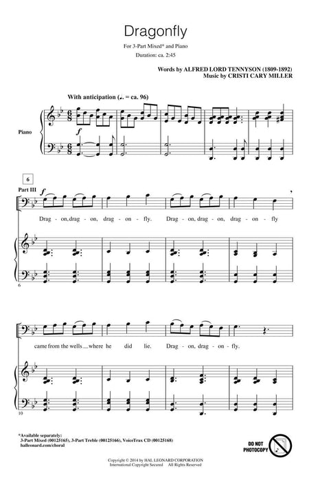 Dragonfly Discovery Level 2 | 小雅音樂 Hsiaoya Music