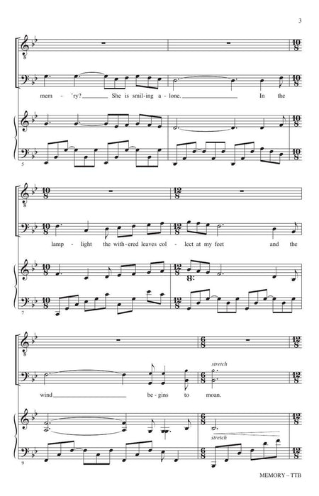 Memory from Cats | 小雅音樂 Hsiaoya Music