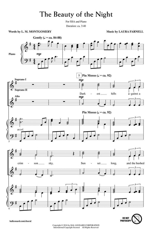 The Beauty of the Night | 小雅音樂 Hsiaoya Music