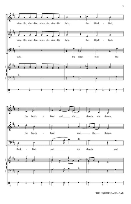 The Nightingale 夜鶯 | 小雅音樂 Hsiaoya Music