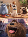 The Secret Life of Pets Original Motion Picture Soundtrack | 小雅音樂 Hsiaoya Music