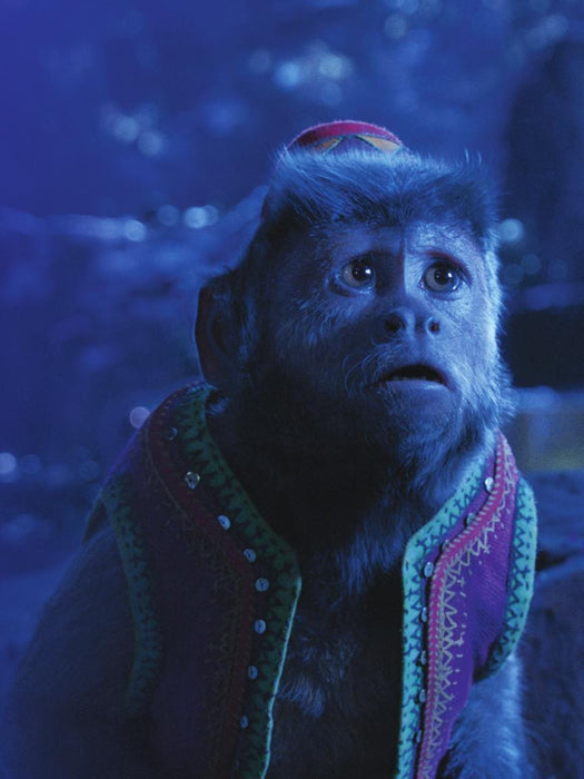 Aladdin Songs from the 2019 Motion Picture Soundtrack | 小雅音樂 Hsiaoya Music