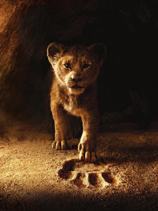 The Lion King Music from the Disney Motion Picture Soundtrack | 小雅音樂 Hsiaoya Music