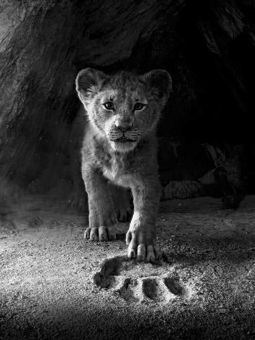 The Lion King - Super Easy Songbook | 小雅音樂 Hsiaoya Music