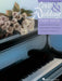 Love and Wedding Piano Solos - 2nd Edition Upper Intermediate Level 鋼琴 獨奏 | 小雅音樂 Hsiaoya Music