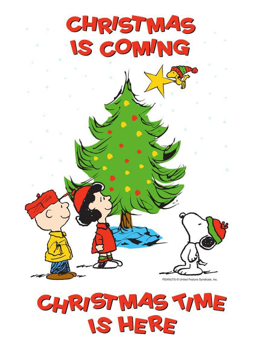 The Charlie Brown Collection(TM) | 小雅音樂 Hsiaoya Music