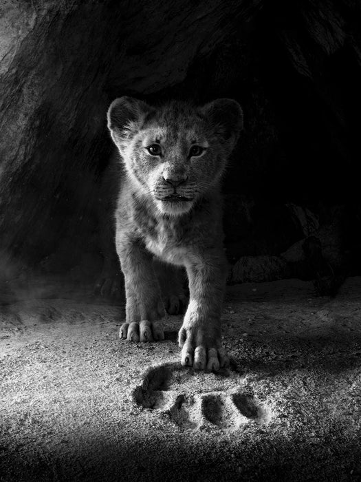 The Lion King Music from the Disney Motion Picture Soundtrack | 小雅音樂 Hsiaoya Music