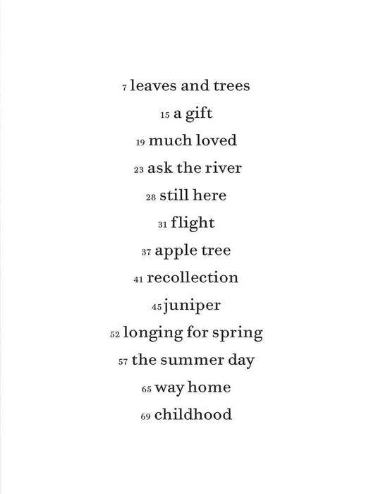 Rachel Portman - Ask the River for Piano Solo 鋼琴 鋼琴 | 小雅音樂 Hsiaoya Music