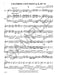 Chamber Concerto 21st Century String Series Viola and Piano 韋瓦第 室內協奏曲 中提琴鋼琴 | 小雅音樂 Hsiaoya Music