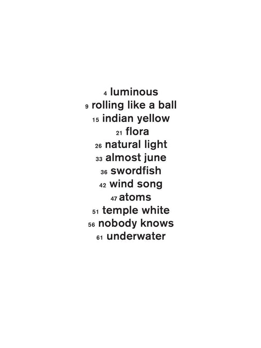 Ludovico Einaudi - Underwater Piano Solo 鋼琴 | 小雅音樂 Hsiaoya Music