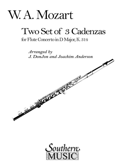 Three Cadenzas in D Major Flute Concerto 莫札特 協奏曲 裝飾樂段 | 小雅音樂 Hsiaoya Music