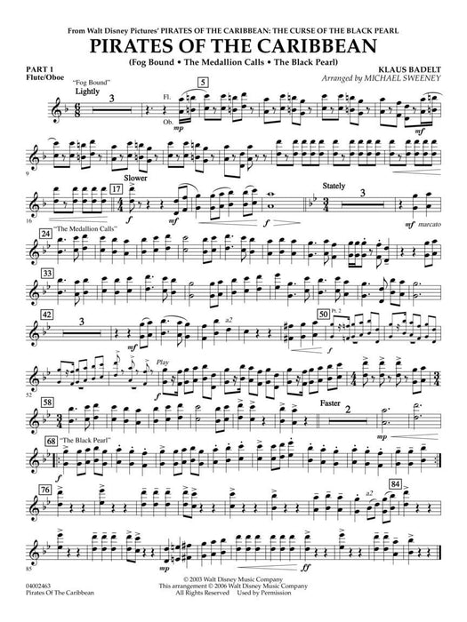 Pirates of the Caribbean | 小雅音樂 Hsiaoya Music