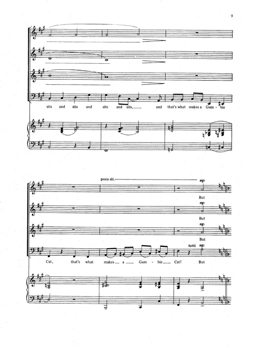 The Old Gumbie Cat | 小雅音樂 Hsiaoya Music