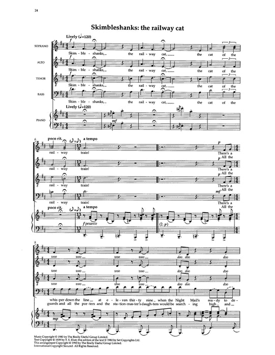 Memory & other choruses from Cats 合唱 | 小雅音樂 Hsiaoya Music