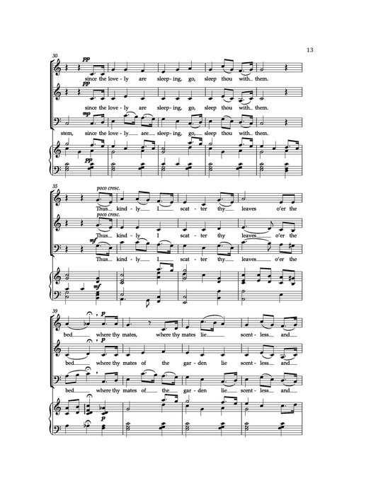 Danny Boy & Other Classic Irish Melodies | 小雅音樂 Hsiaoya Music