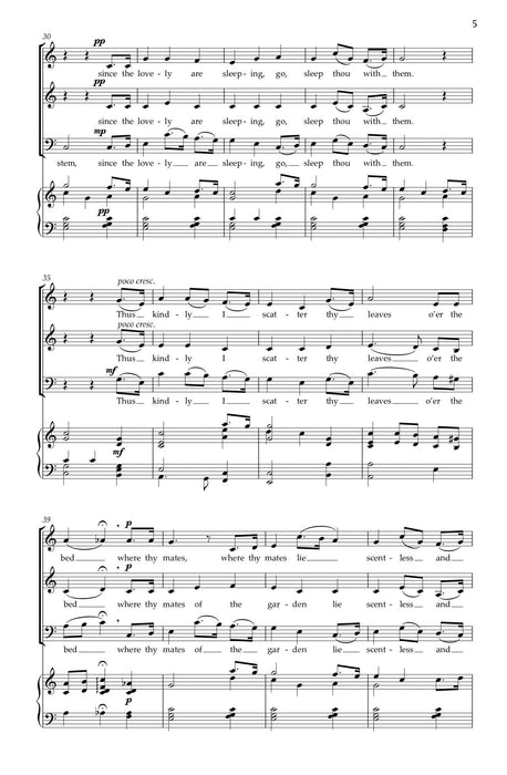 The Last Rose of Summer | 小雅音樂 Hsiaoya Music