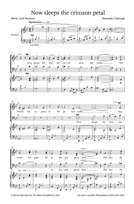 Now Sleeps the Crimson Petal | 小雅音樂 Hsiaoya Music