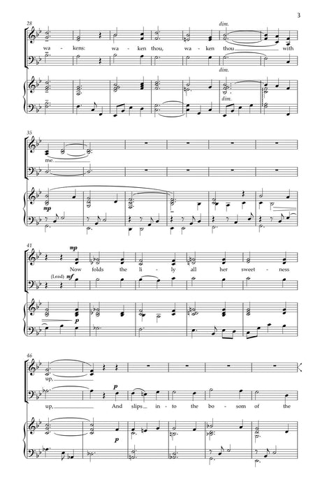 Now Sleeps the Crimson Petal | 小雅音樂 Hsiaoya Music