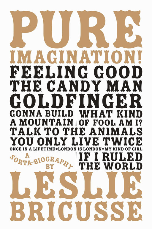 Pure Imagination: a sorta biography | 小雅音樂 Hsiaoya Music