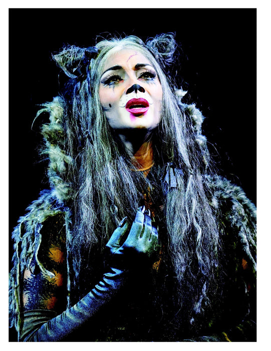 Cats: definitive edition | 小雅音樂 Hsiaoya Music