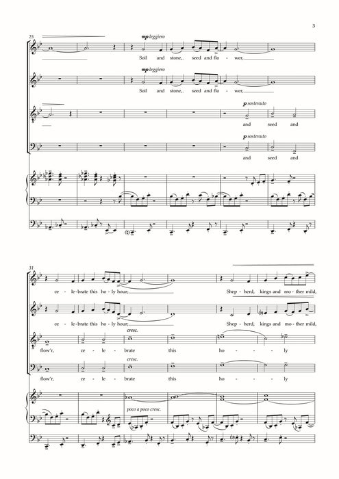 Stars In Heaven | 小雅音樂 Hsiaoya Music