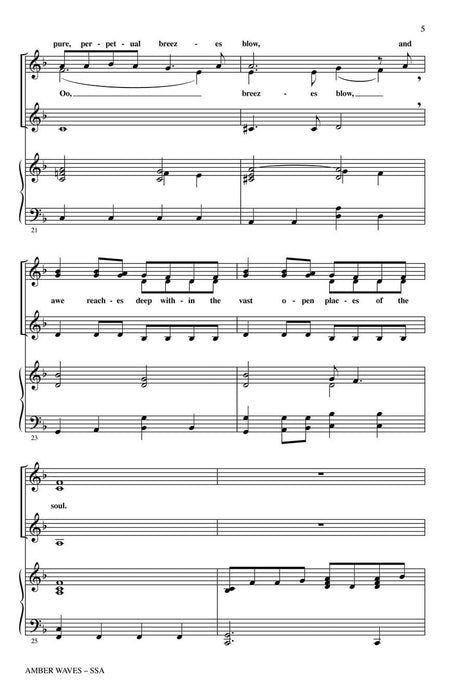 Amber Waves from American Landscapes | 小雅音樂 Hsiaoya Music