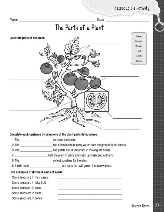 Science Rocks! Cross-Curricular Music Fun for the Classroom | 小雅音樂 Hsiaoya Music