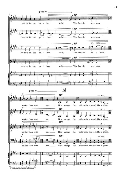 A Tender Light (Selections) | 小雅音樂 Hsiaoya Music