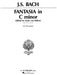 Fantasia in C Minor Piano Solo 巴赫約翰‧瑟巴斯提安 幻想曲 鋼琴 獨奏 | 小雅音樂 Hsiaoya Music