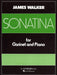 Sonatina Clarinet and Piano 小奏鳴曲 豎笛 鋼琴 | 小雅音樂 Hsiaoya Music