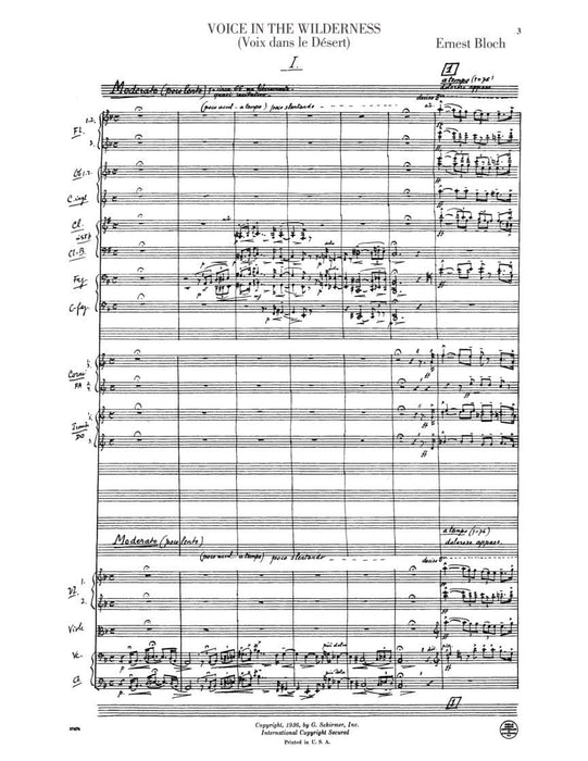 Voice in the Wilderness (Symphonic Poem) Full Score 交響詩 | 小雅音樂 Hsiaoya Music