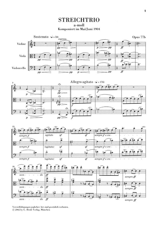 String Trios A minor Op. 77b and D minor Op. 141b Study Score 雷格馬克斯 弦樂三重奏 總譜 亨乐版 | 小雅音樂 Hsiaoya Music