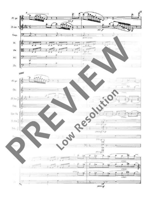 Pas-de-deux L'Oiseau bleu / Bluebird 斯特拉溫斯基．伊果 總譜 朔特版 | 小雅音樂 Hsiaoya Music