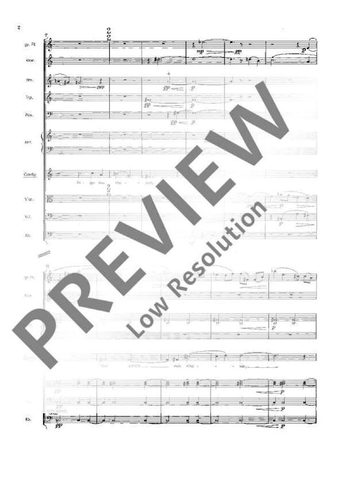 Wiegenlied der Mutter Gottes Words by Lope de Vega (German by Artur Altschul) 亨采 總譜 朔特版 | 小雅音樂 Hsiaoya Music