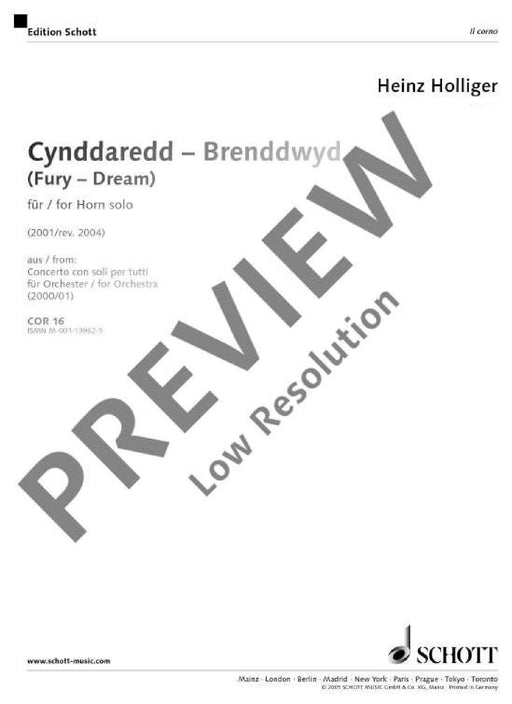 Cynddaredd  Brenddwyd (Fury  Dream) 霍利格 法國號 1把以上 朔特版 | 小雅音樂 Hsiaoya Music