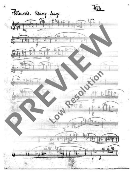 Evening Concert from 'Plöner Musiktag' 辛德密特 音樂會 長笛加鋼琴 朔特版 | 小雅音樂 Hsiaoya Music