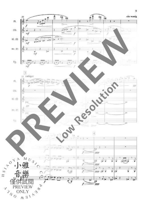 Sonate for flute and piano 辛德密特 木管五重奏 長笛鋼琴 朔特版 | 小雅音樂 Hsiaoya Music