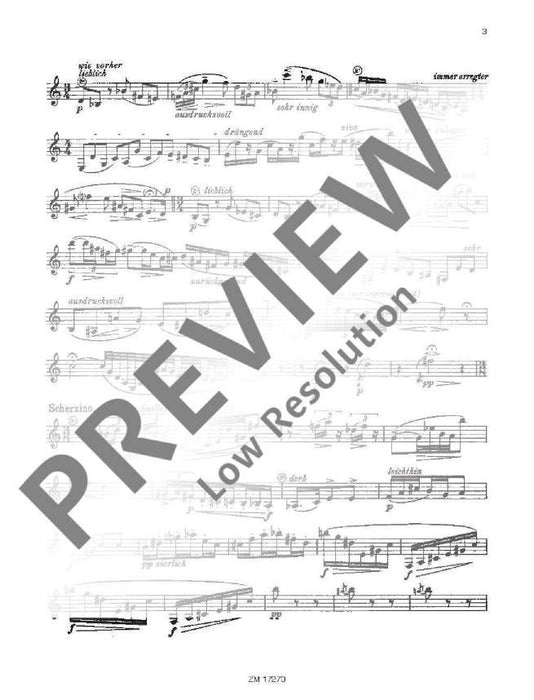 Sonata op. 110 卡爾格－艾勒特 奏鳴曲 豎笛獨奏 齊默爾曼版 | 小雅音樂 Hsiaoya Music