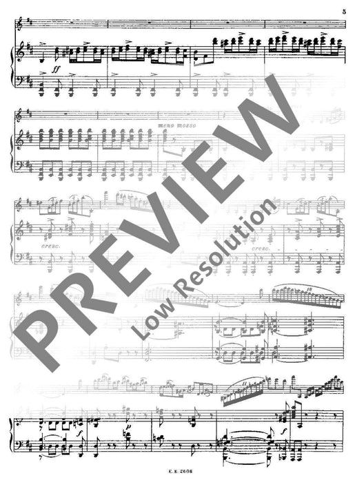 La Clochette op. 7 Rondo from the 2nd Concerto B Minor 帕格尼尼 迴旋曲 協奏曲小調 小提琴加鋼琴 歐伊倫堡版 | 小雅音樂 Hsiaoya Music