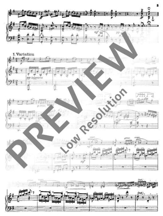 Variations on a Theme of Mozart op. 94 KV 131 from Divertimento No. 2, K 131 (1772) 齊爾赫 變奏曲 主題 嬉遊曲 小提琴加鋼琴 | 小雅音樂 Hsiaoya Music