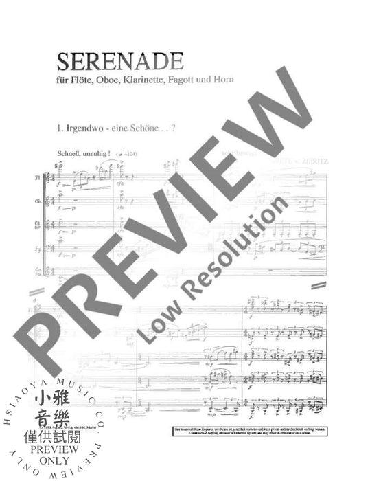 Serenade 齊力茲 木管五重奏 小夜曲 | 小雅音樂 Hsiaoya Music