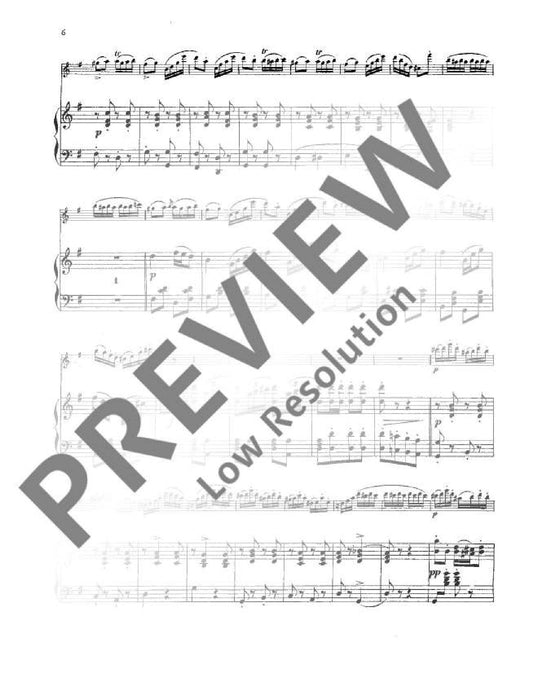 Polka de bravoure op. 201 珀普 波卡舞曲 長笛加鋼琴 | 小雅音樂 Hsiaoya Music