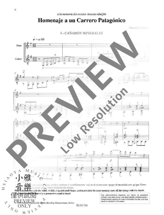 Homenaje a un Carrero Patagónico 混和二重奏 | 小雅音樂 Hsiaoya Music